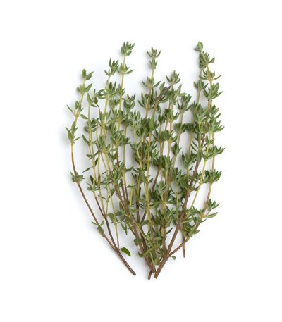 Thym Du Maroc Séché au KG
